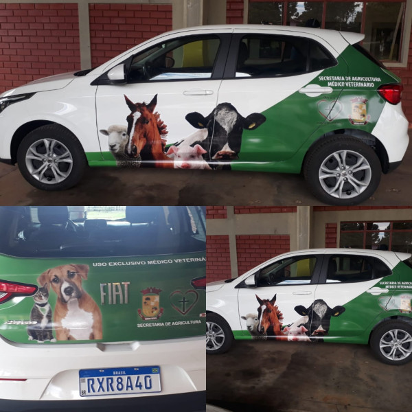 Personalização de Frota Municipal - Lebon Régis/SC